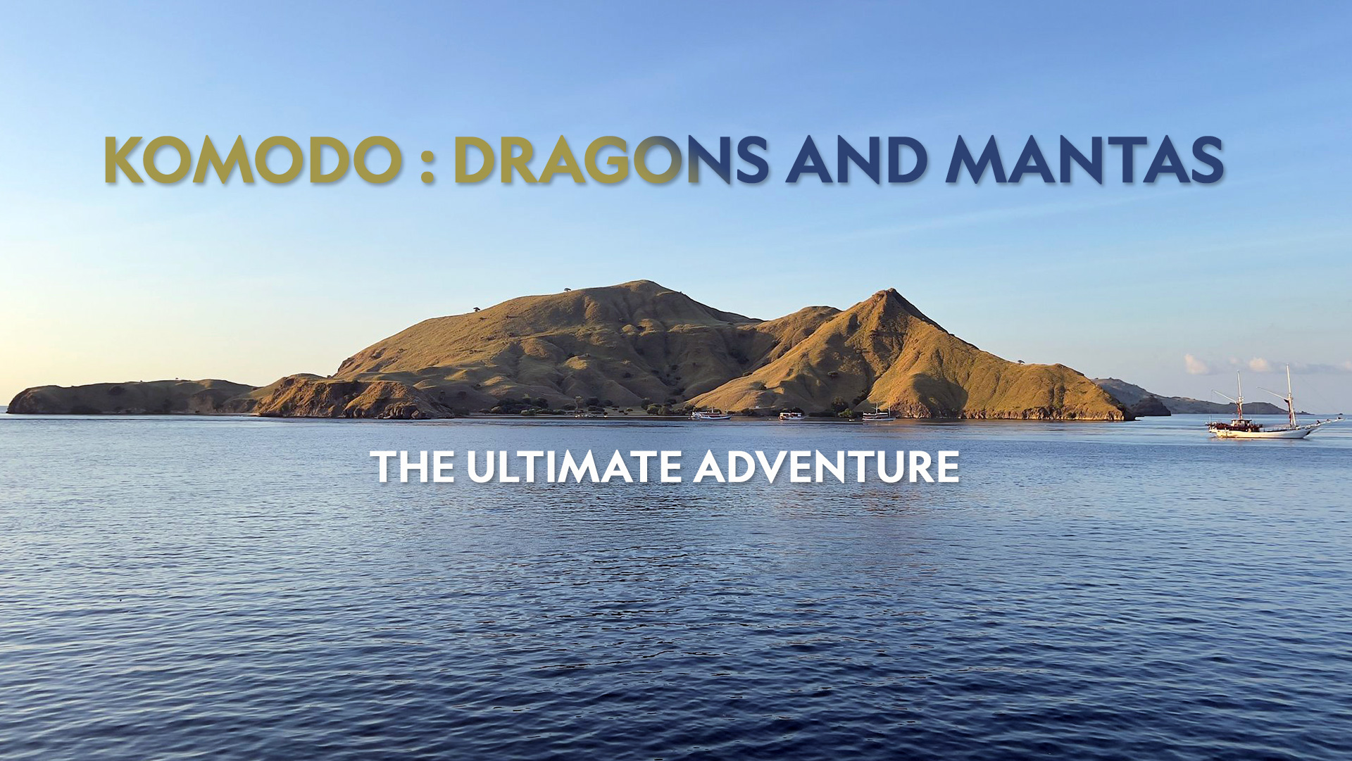 KOMODO: DRAGONS AND MANTAS!